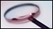 View Profiles